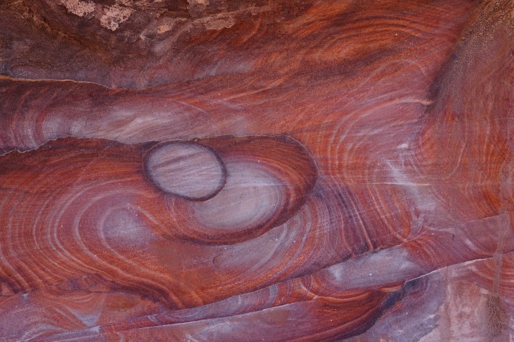 Journey into the Rose&nbsp;City