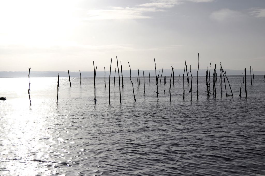 Travel Advent Haiku&nbsp;#1